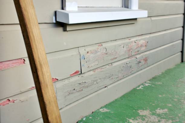 Best Engineered Wood Siding  in USA